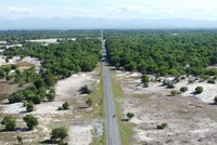 Quốc lộ 15D đoạn từ Cảng Mỹ Thuỷ đến điểm giao Quốc lộ 1A.