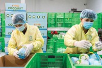 Xuất khẩu nông, lâm, thủy sản được đánh giá vẫn còn dư địa tăng trưởng (Ảnh: P.V) 