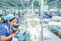 Doanh nghiệp dệt may đang tác động đến sản xuất, kinh doanh xuất khẩu của ngành dệt may. 