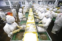 Xuất khẩu đang chịu sức ép lớn trước biến động địa chính trị thế giới. Trong ảnh: Thủy sản là mặt hàng xuất khẩu quan trọng của Việt Nam (Ảnh: Đức Thanh)