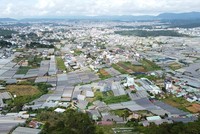 Lâm Đồng sẽ kiểm tra, rà soát toàn bộ các hồ sơ, tài liệu, bản đồ về đất đai, lâm nghiệp để tiến hành bàn giao, cập nhật vào hệ thống cơ sở dữ liệu dùng chung cho toàn tỉnh. Ảnh: Linh Đan