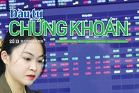  Báo Đầu tư Chứng khoán số 13