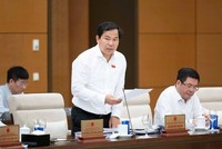  Tổng thư ký, Chủ nhiệm Văn phòng Quốc hội Lê Quang Mạnh tham gia thảo luận.