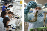 Sự phân hóa lợi nhuận trong ngành dệt may và thủy sản sẽ ngày càng rõ rệt