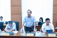 Đại biểu Nguyễn Đình Xuân phát biểu tại tổ. 