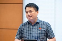 Đại biểu Đặng Ngọc Huy (Quảng Ngãi ) phát biểu tại tổ - Ảnh: PT. 