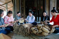 Liên kết Đồng bằng sông Cửu Long - Hà Nội: Mở rộng hành lang du lịch 