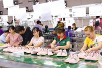 Tăng trưởng GRDP ở những địa phương đứng đầu cho thấy tương quan trực tiếp giữa tiềm năng, lợi thế và việc chuyển hóa thành dự án, sản phẩm cụ thể 