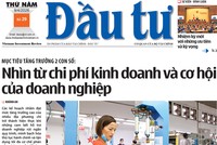 Báo Đầu tư số 29