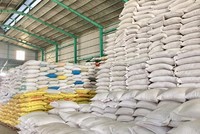 TP.HCM ứng phó với biến động cung cầu gạo do xung đột địa chính trị, xăng dầu 