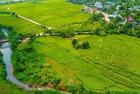 Chuyển gần 600 ha rừng tại Lương Sơn làm 3 dự án đô thị hơn 8.000 tỷ đồng 