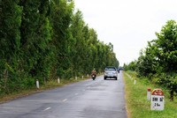 Một đoạn Quốc lộ 30 đoạn Hồng Ngự - Dinh Bà