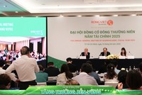 ĐHCĐ Rồng Việt (VDS): Kế hoạch lợi nhuận 510 tỷ đồng, phát hành tối đa 178 triệu cổ phiếu 