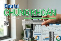 Báo Đầu tư Chứng khoán số 15