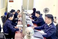 Chính phủ giao Bộ Tài chính chủ trì soạn thảo Luật sửa đổi, bổ sung một số điều của Luật Hải quan (trình Chính phủ hồ sơ dự án trước ngày 10/7/2026).