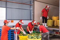 Khi áp lực lan rộng, doanh nghiệp cần giải pháp đồng bộ về chính sách và thị trường (Ảnh: P.V)