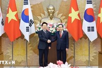 Chủ tịch Quốc hội Trần Thanh Mẫn hội kiến Tổng thống Hàn Quốc Lee Jae Myung. (Ảnh: Doãn Tấn/TTXVN)