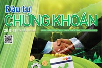Báo Đầu tư Chứng khoán số 17+18