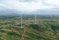 Gia Lai có 20 dự án điện gió đáp ứng điều kiện thực hiện theo Nghị quyết số 253 và 254 của Quốc hội, trong đó 19 dự án nằm tại khu vực phía Tây tỉnh. Trong ánh: Nhà máy điện gió Nhơn Hoà 1 (Nguồn: EMI).