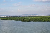 Quảng Ninh nghiên cứu, lựa chọn phương án tối ưu đầu tư xây dựng cầu Cửa Lục 2 