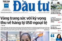 Báo Đầu tư số 34