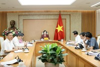 Bí thư Trung ương Đảng, Phó Thủ tướng Chính phủ Phạm Thị Thanh Trà chủ trì cuộc họp - Ảnh: VGP