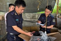 Công chức hải quan kiểm đếm hàng hoá vi phạm.