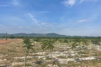 Khu vực thực hiện Dự án Đầu tư xây dựng kết cấu hạ tầng Khu công nghiệp Tam Anh 1 với tổng vốn đầu tư 1.500 tỷ đồng.