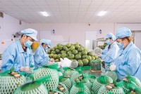 Các danh mục cắt giảm lần này là bước đi đáng ghi nhận vì đã chạm đến nhiều vướng mắc, mà doanh nghiệp thường gặp