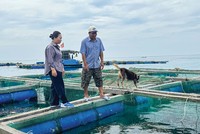 Ở đảo, cán bộ ngân hàng là người đồng hành với bà con trong cuộc mưu sinh. Trong ảnh: Bà Lê Thị Của, Giám đốc Agribank Chi nhánh Lý Sơn thăm lồng bè của gia đình anh Huỳnh Ngọc Thảo, thôn Đông An Hải, Đặc khu Lý Sơn 