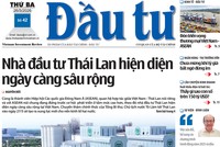 Báo Đầu tư số 42