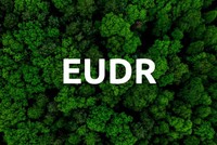 EUDR tác động đến việc xuất khẩu nông sản Việt Nam vào thị trường EU, đặc biệt là cà phê, cao su và gỗ.