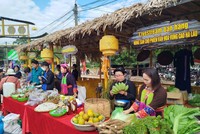 Thông qua các nền tảng số, nhiều nông lâm sản, sản phẩm OCOP của bà con được quảng bá trực tiếp đến người tiêu dùng, giảm khâu trung gian, nâng cao giá trị sản phẩm và tăng thu nhập cho người dân.
