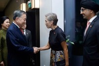 Cán bộ, nhân viên Đại sứ quán và cộng đồng người Việt Nam tại Singapore đón Tổng Bí thư, Chủ tịch nước Tô Lâm và Phu nhân. (Ảnh: Thống Nhất/TTXVN)