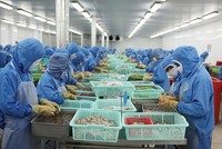 Xuất khẩu vẫn duy trì tăng trưởng tích cực, nhưng đà phục hồi sản xuất đang có dấu hiệu chậm lại 