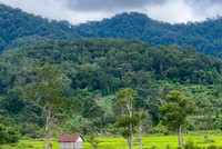 Xúc tiến đầu tư nhiều điểm du lịch mới, hấp dẫn tại tỉnh Gia Lai 