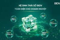 BIDV: Kiến tạo hạ tầng tăng trưởng cho doanh nghiệp