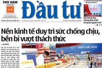 Báo Đầu tư số 45