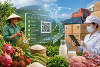 Truy xuất nguồn gốc đã trở thành yêu cầu bắt buộc với nông sản khi tham gia các chuỗi cung ứng hiện đại.