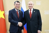 Thủ tướng Lê Minh Hưng hội kiến Tổng thống Nga Vladimir Putin. Ảnh: TTXVN