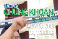 Báo Đầu tư Chứng khoán số 25