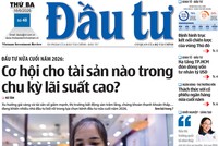 Báo Đầu tư số 48