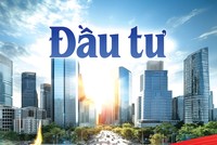Báo Đầu tư số 49 - 50