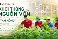 Tổ vay vốn Agribank: Khơi thông nguồn vốn, trợ lực vững chắc cho “Tam nông”
