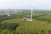 Đến nay, trên địa bàn TP. Cần Thơ đã có 9 nhà máy điện gió chính thức vận hành thương mại, đạt công suất 396 MW.
