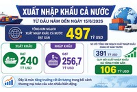 Diễn biến thương mại nửa đầu năm: Rút ngắn chặng đường chinh phục mốc 1.000 tỷ USD 