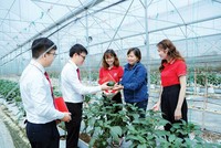 Sản xuất xanh đã trở thành con đường tất yếu của phát triển