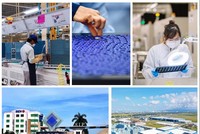 Thực hiện thắng lợi mục tiêu phấn đấu tăng trưởng 2 con số trong năm 2026, bảo đảm tăng trưởng kinh tế cao, bền vững, thực chất. Ảnh: VGP