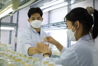 Nuôi cấy mô tại phòng thí nghiệm 
