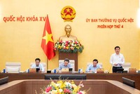 Phó chủ tịch Quốc hội Nguyễn Hồng Diên điều hành phiên thảo luận. 